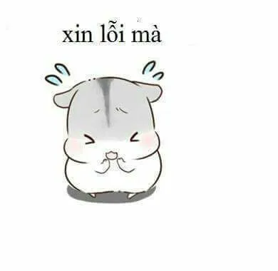 39 Mèo troll hối lỗi đáng yêu khiến dân mạng thích thú