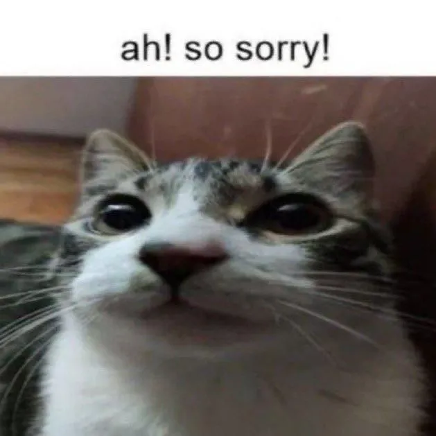 20 Hình chế vui mèo cúi đầu tỏ lòng ân hận.