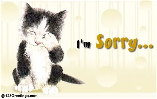 19 Ảnh hài mèo tỏ vẻ hối hận như người.