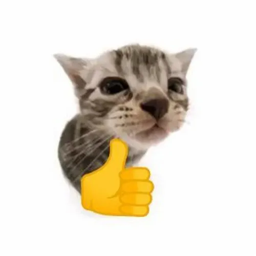 Hình mèo giơ tay like cực vui, nhìn là muốn gửi ngay