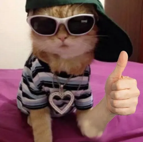 Bộ 50+ ảnh Meme Mèo Like, Giơ Ngón Tay Cái ra hiệu khen ngợi tán thành dễ thương