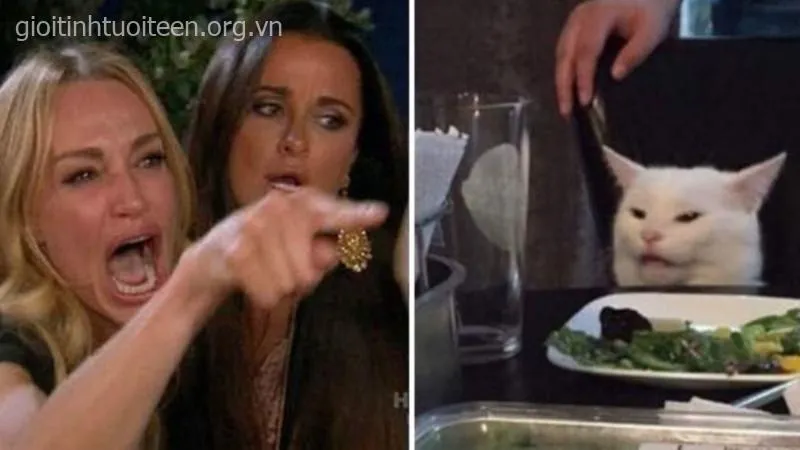 Đằng sau ánh mắt boss mèo là cả thế giới biểu cảm nhân loại