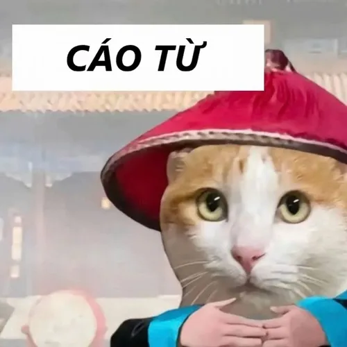 34 Meme Cáo Từ hài hước khi chào tạm biệt đậm chất kiếm hiệp phim cổ trang