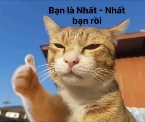 Hình troll boss mèo cầm muỗng nhìn cực kỳ “đạo cụ”.