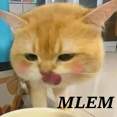 Meme mèo bựa cười nửa miệng nhìn cực có duyên.