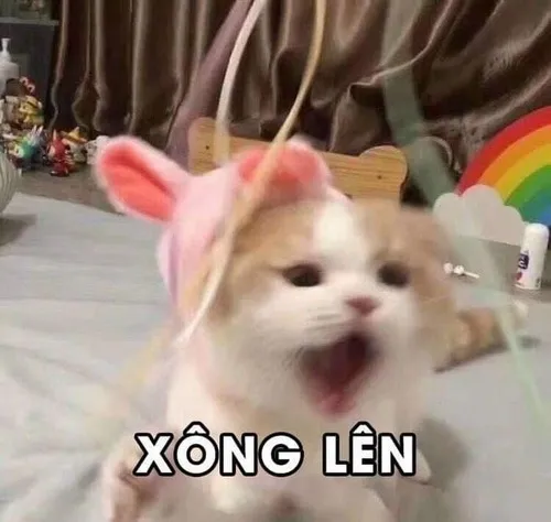 Meme chế mèo bựa giả vờ ngoan ngoãn nhưng đang tính kế.