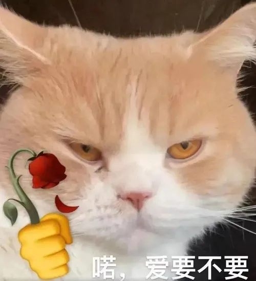 Ảnh vui boss mèo giả bộ ngất khi bị phát hiện.