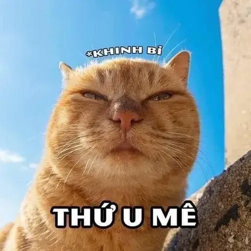 Hình chế mèo trắng ngồi như người suy tư triết học.