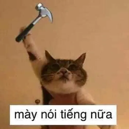 Meme chế chữ mày nói tiếng nữa đầy biểu cảm