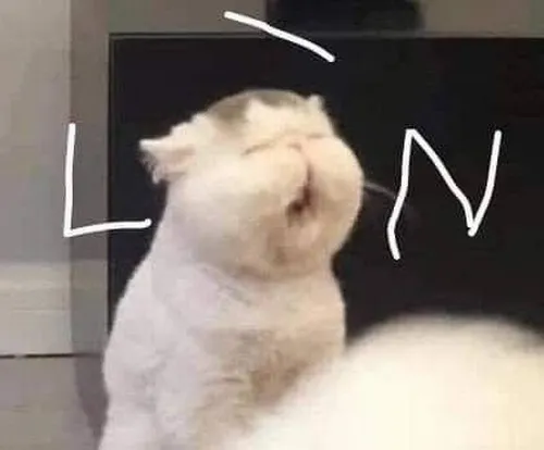 Ảnh vui mèo nhây tạo trend mạng cực nhanh