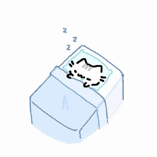 Meme mèo ngủ ngon trong hộp giấy, nhìn thôi cũng muốn chui theo