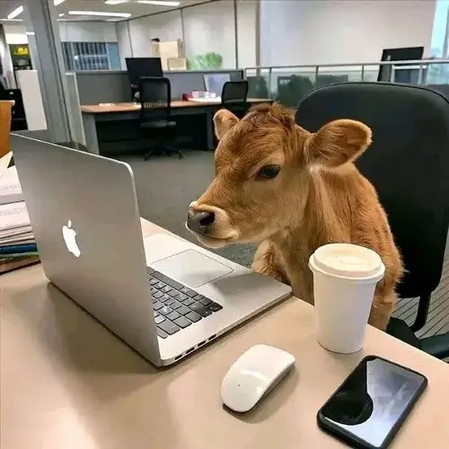 250+ ảnh Meme Dân Văn Phòng hài hước nhây bựa trong chốn công sở đầy drama