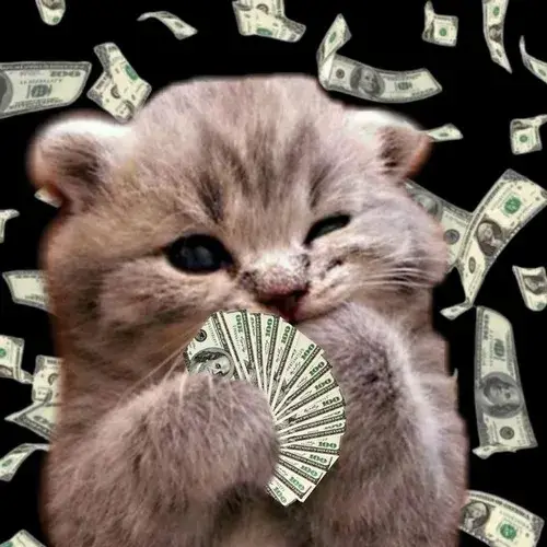 Meme chế boss mèo giả vờ ngoan nhưng lòng đầy mưu mô.