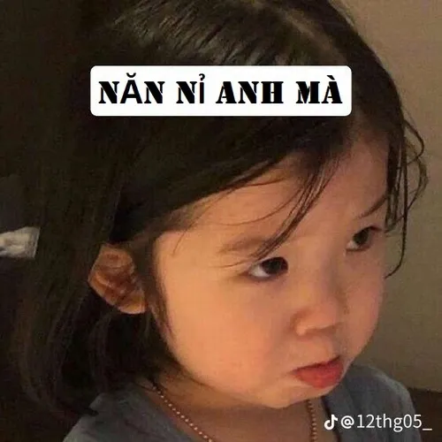 50+ Meme Năn Nỉ cute dễ thương với những tình huống xin lỗi cầu mong sự tha thứ
