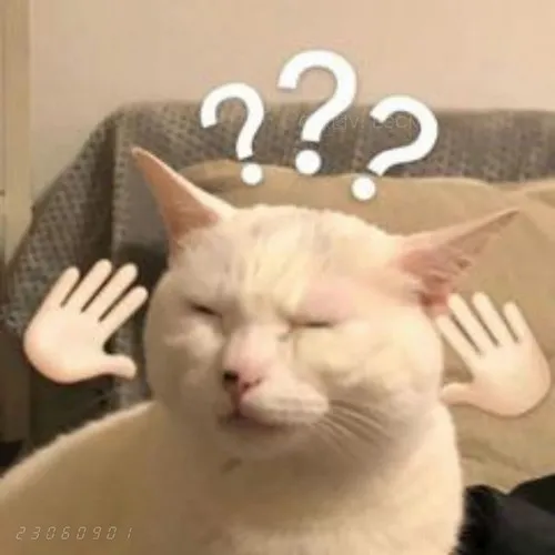 Meme chế mèo bựa làm biểu tượng cười GenZ