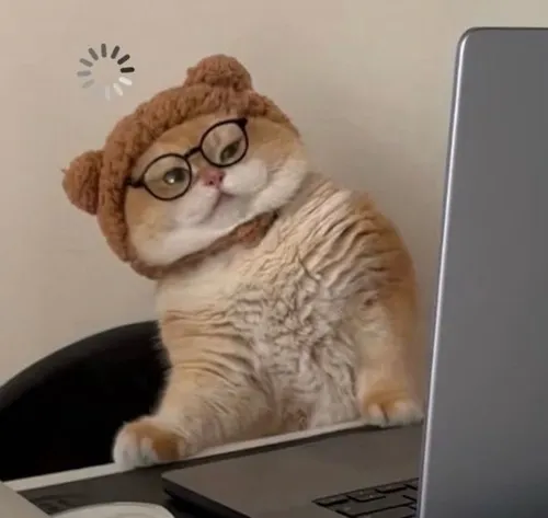 Hình chế mèo mắt tròn lấp lánh khiến ai cũng yêu.